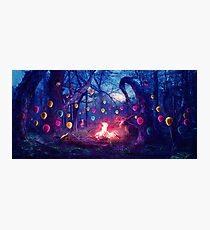 Party Animals Photographic Print