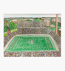 Spartan Stadium Photographic Print