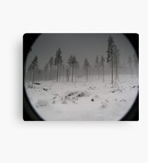 The coming storm Canvas Print