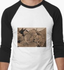 Begonias Sepia Love Men's Baseball ¾ T-Shirt
