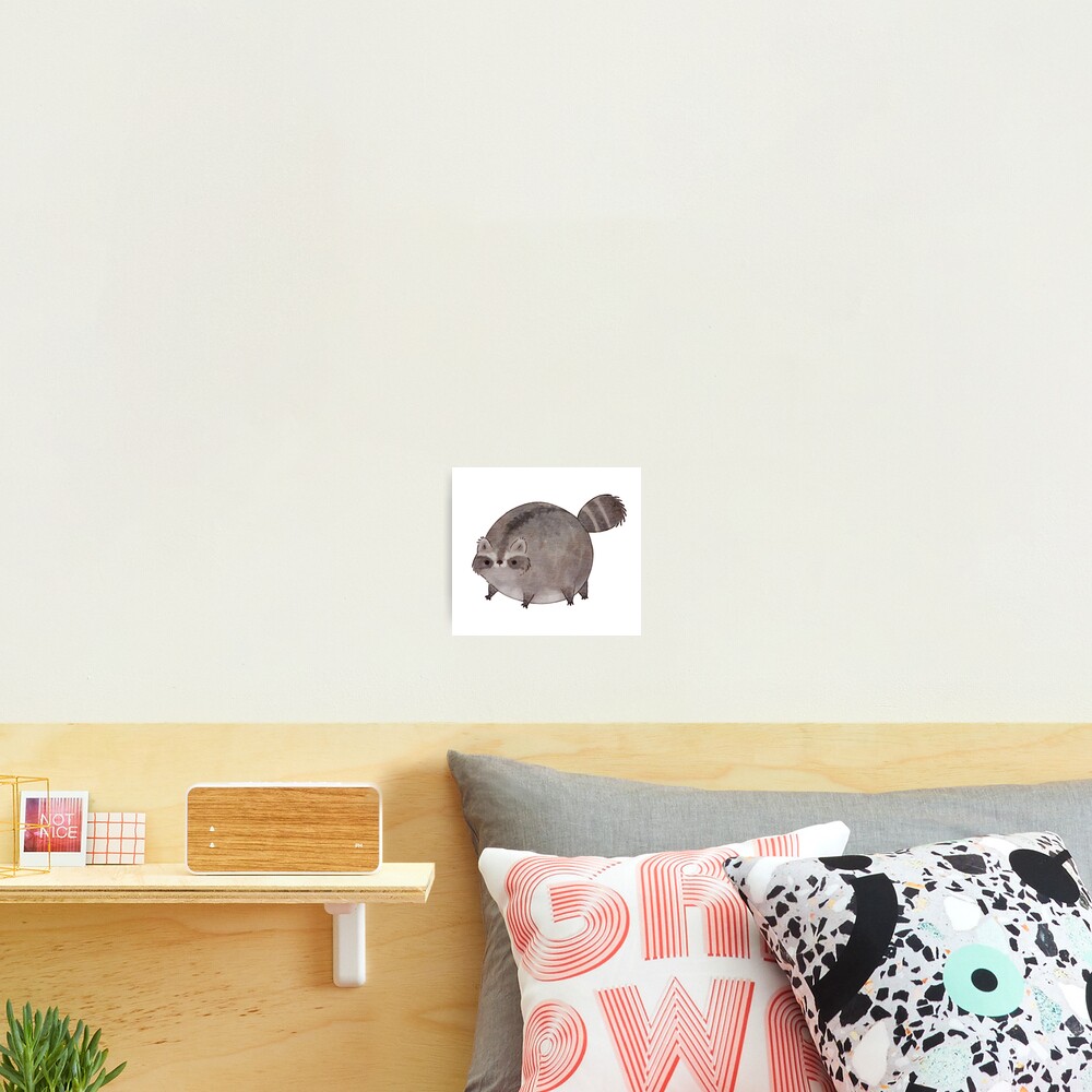 Chubby Trash Panda Photographic Print
