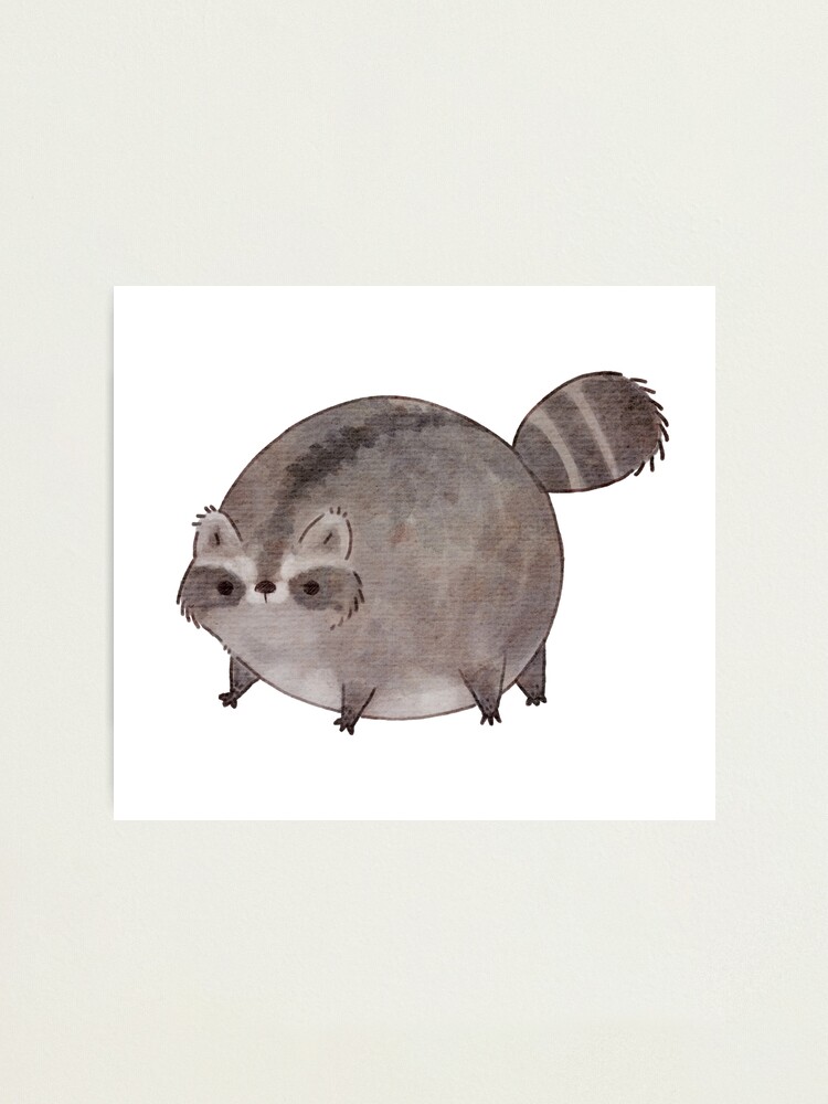 Alternate view of Chubby Trash Panda Photographic Print