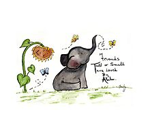 Flat,220x200,075,t.u2