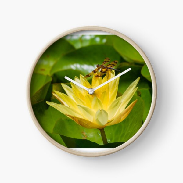 Graphic Flutterer Dragonfly Clock