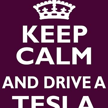 Tesla Gift Keep Calm and Drive a Tesla Mug Gifts for Tesla Cat Lover Tesla  Coffee Cup Tesla Owner Gift 