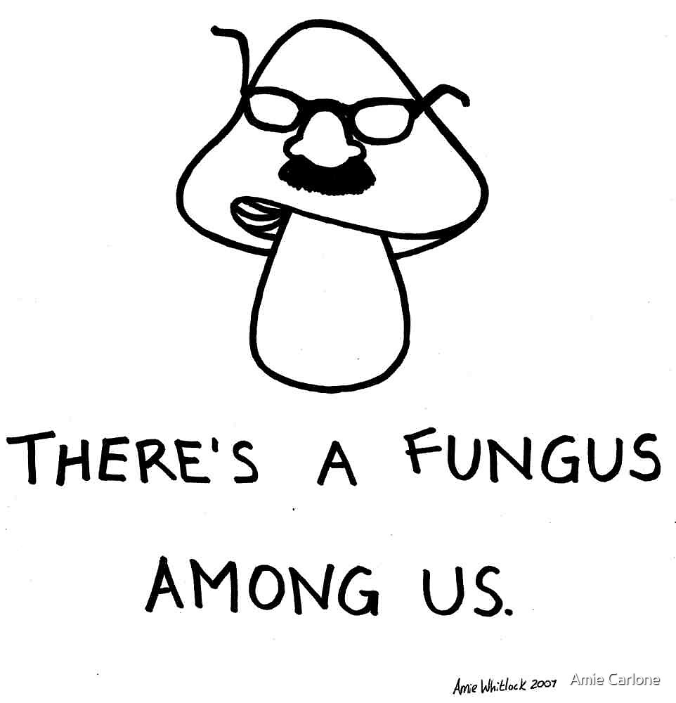 Theres A Fungus Among Us By Amie Whitlock Redbubble