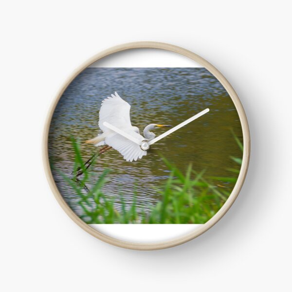 Great Eastern Egret Skimming Clock