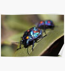 Pretty Blue Bugs Poster