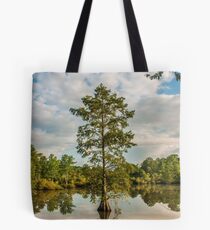 Bald Cypress in the Morning Tote Bag