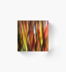 Grasslands Acrylic Block