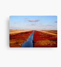Red River Floodway Canvas Print