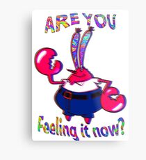 Are you feeling it now Mr Krabs? Metal Print