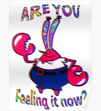 Fühlst du es jetzt Herr Krabs? Poster
