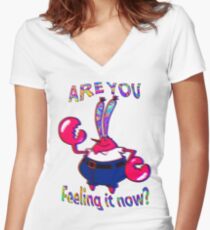 Are you feeling it now Mr Krabs? Women's Fitted V-Neck T-Shirt