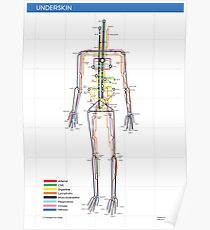 Underskin Poster