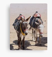 Jack & Eeyore Canvas Print