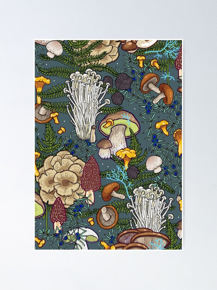 Alternate view of mushroom forest Poster