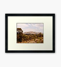 Desert Brush Framed Print