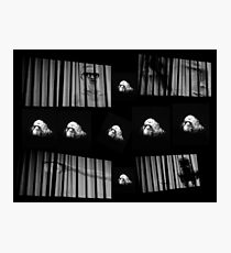 Projection... Photographic Print