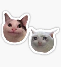 Polite and Sad Crying Cat Memes Sticker