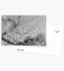 Winter Web Postcards
