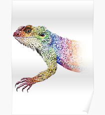 bearded dragon rainbow Mix Poster
