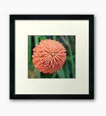 Atop the Fire Poker Framed Print
