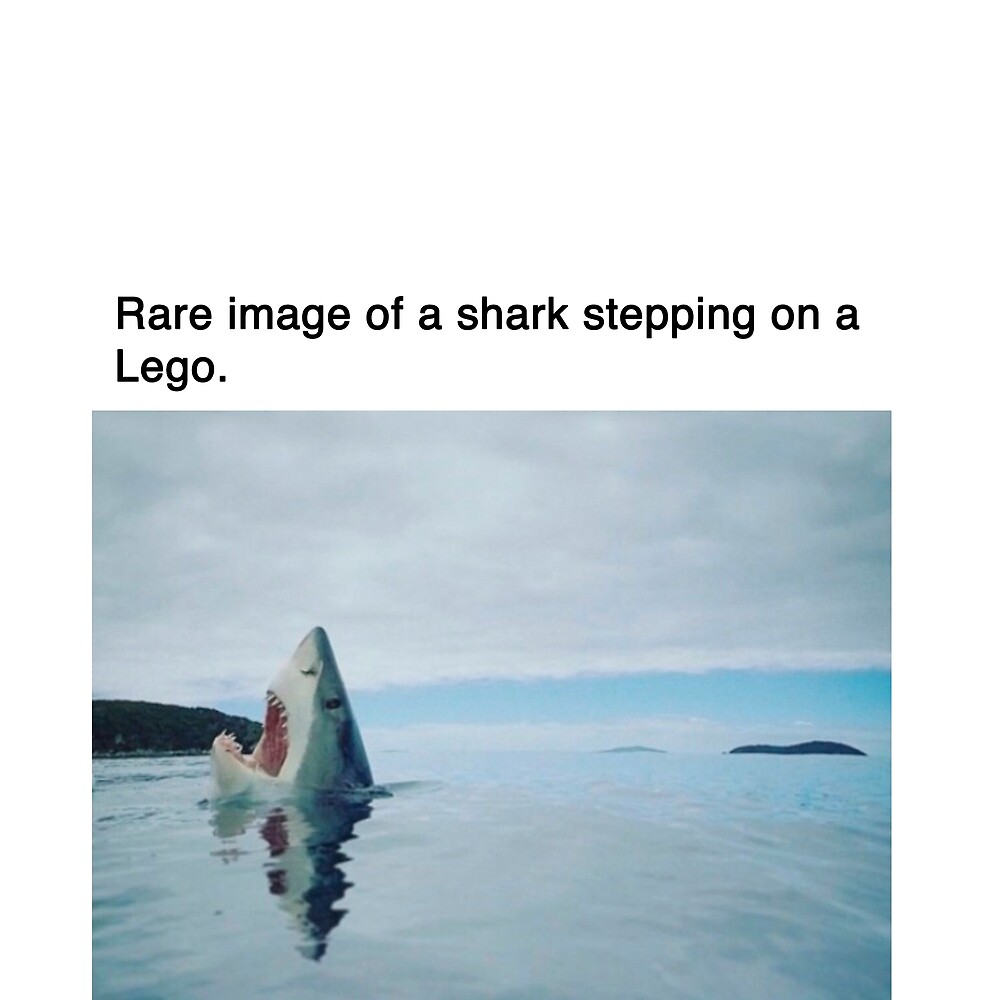 shark step lego
