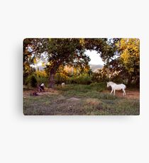 The ranch of Centaurus Canvas Print