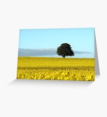 Fife's Golden Fields Of Rapeseed. Greeting Card