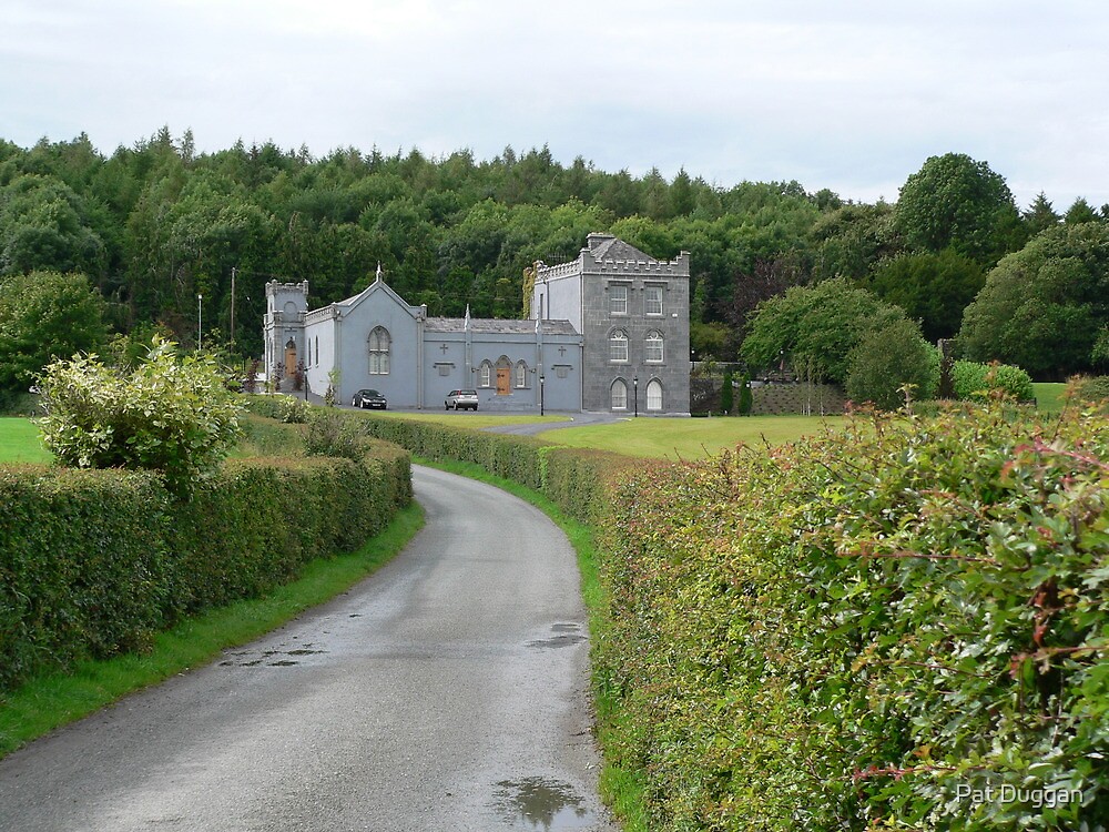 "Jenkinstown by Pat Duggan