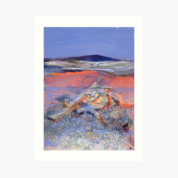 Shadows of Pink- Lake King,Western Australia Art Print