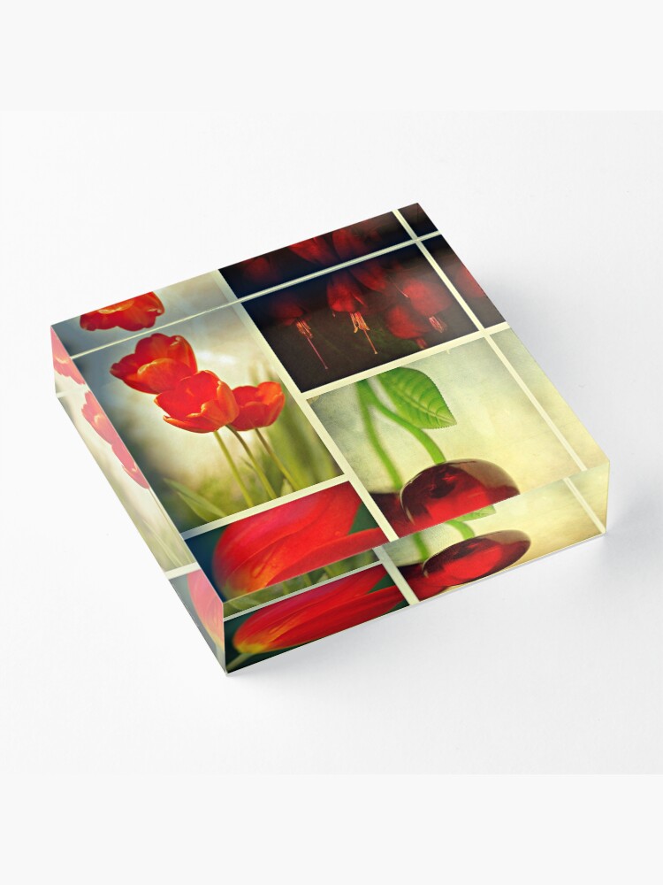 Alternate view of Nature in Red Acrylic Block
