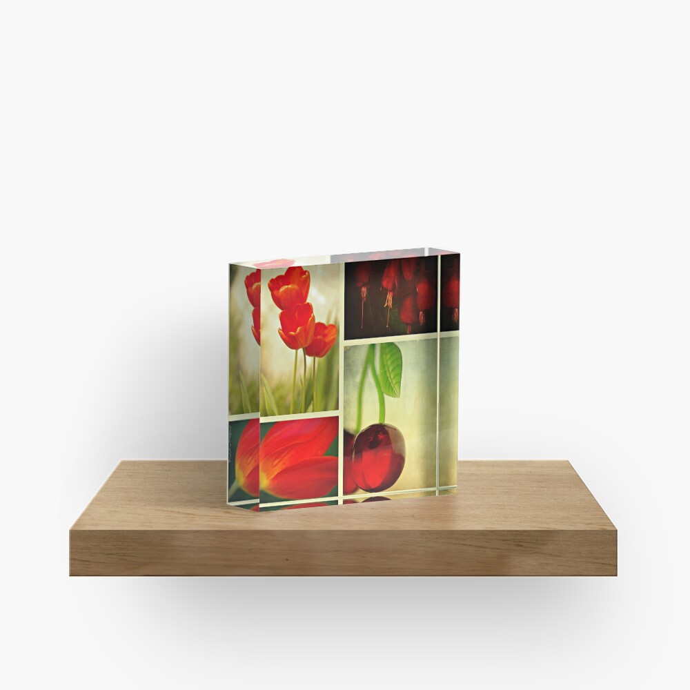 Nature in Red Acrylic Block