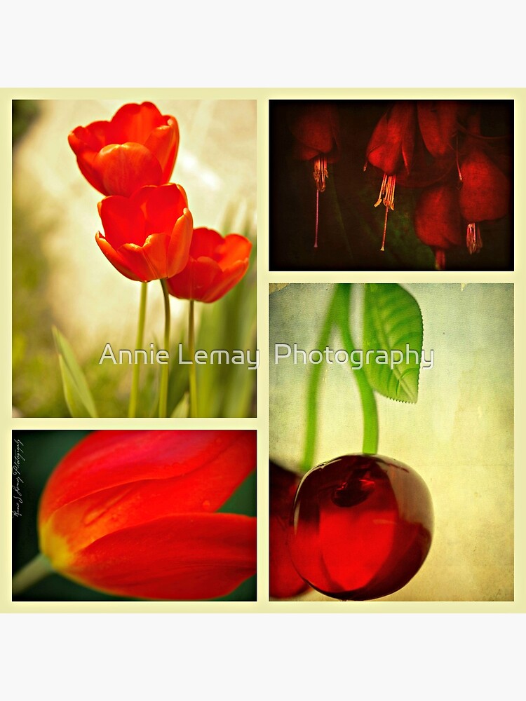Nature in Red by ajlphotography