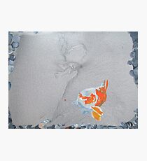 Butch Photographic Print