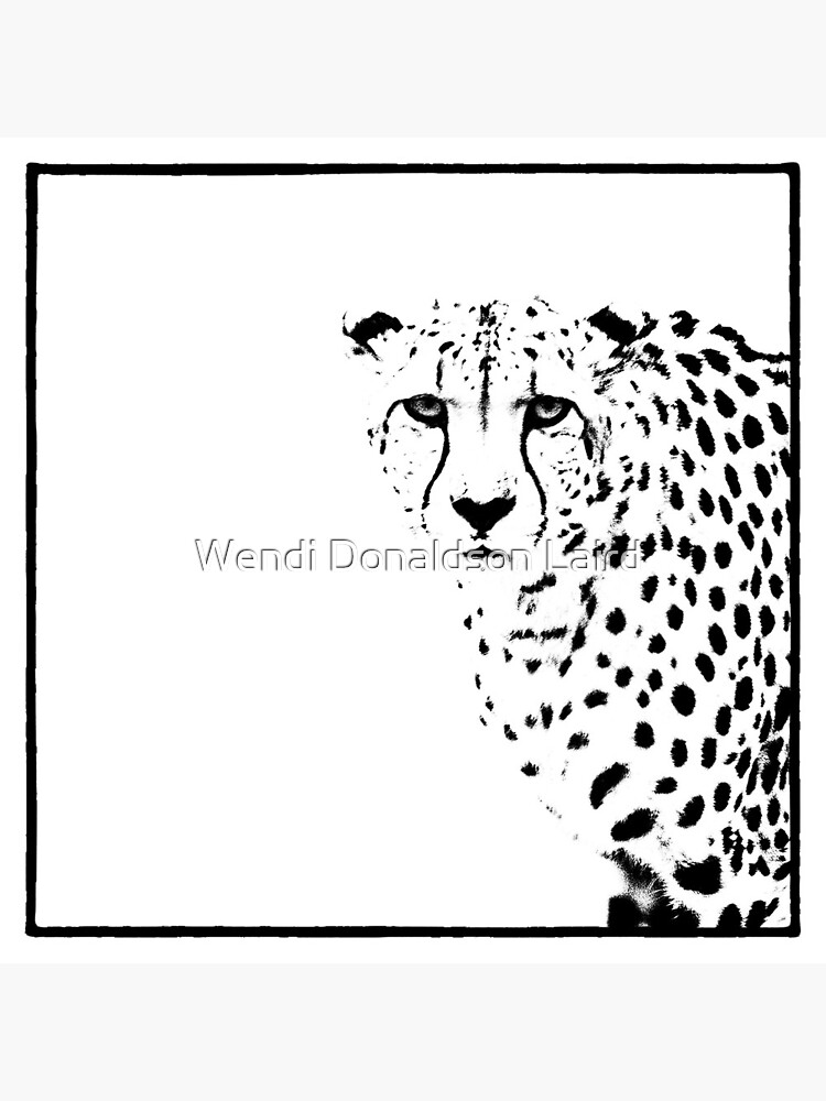 Cheetah by wdonaldson