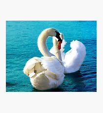 Love must be sincere ! Photographic Print