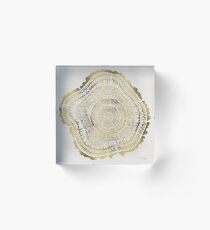 Gold Tree Rings Acrylic Block