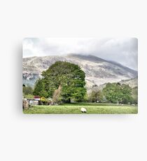 Scotch landscape Metal Print