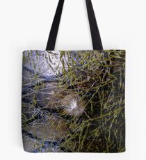 Correlation Tote Bag