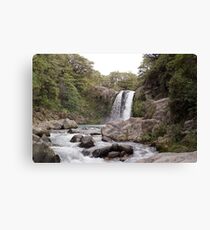 Tawhai falls Canvas Print