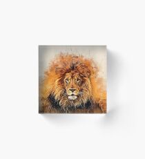 Bloque acrílico Liquid Lion