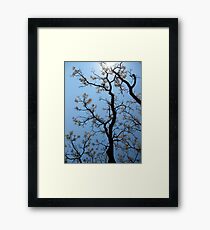 Towards The Light Framed Print