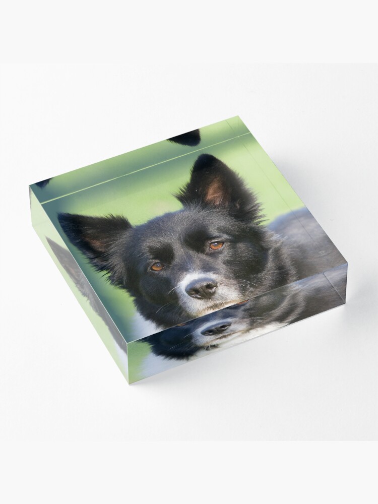 Alternate view of Portrait of Tammy Acrylic Block