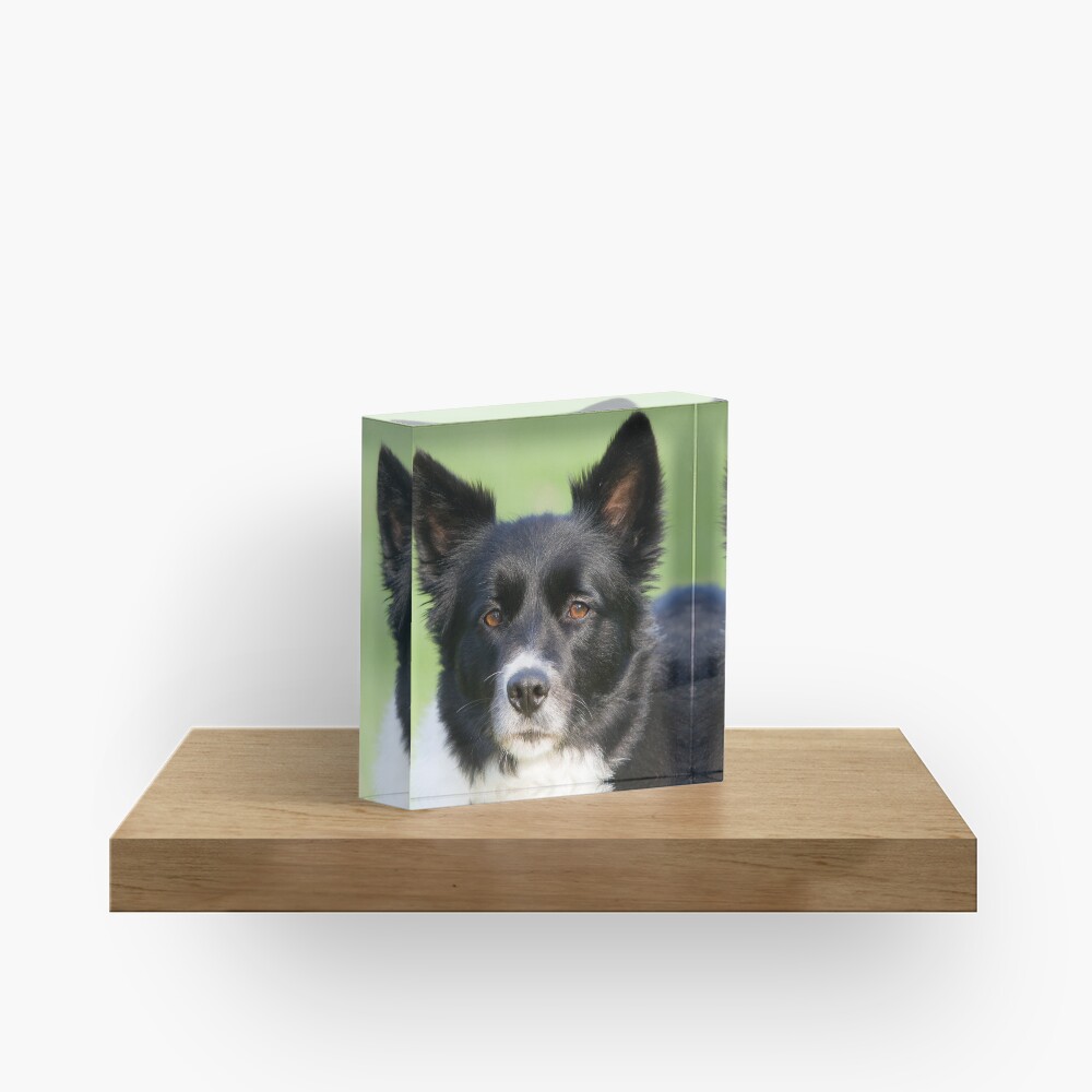 Portrait of Tammy Acrylic Block