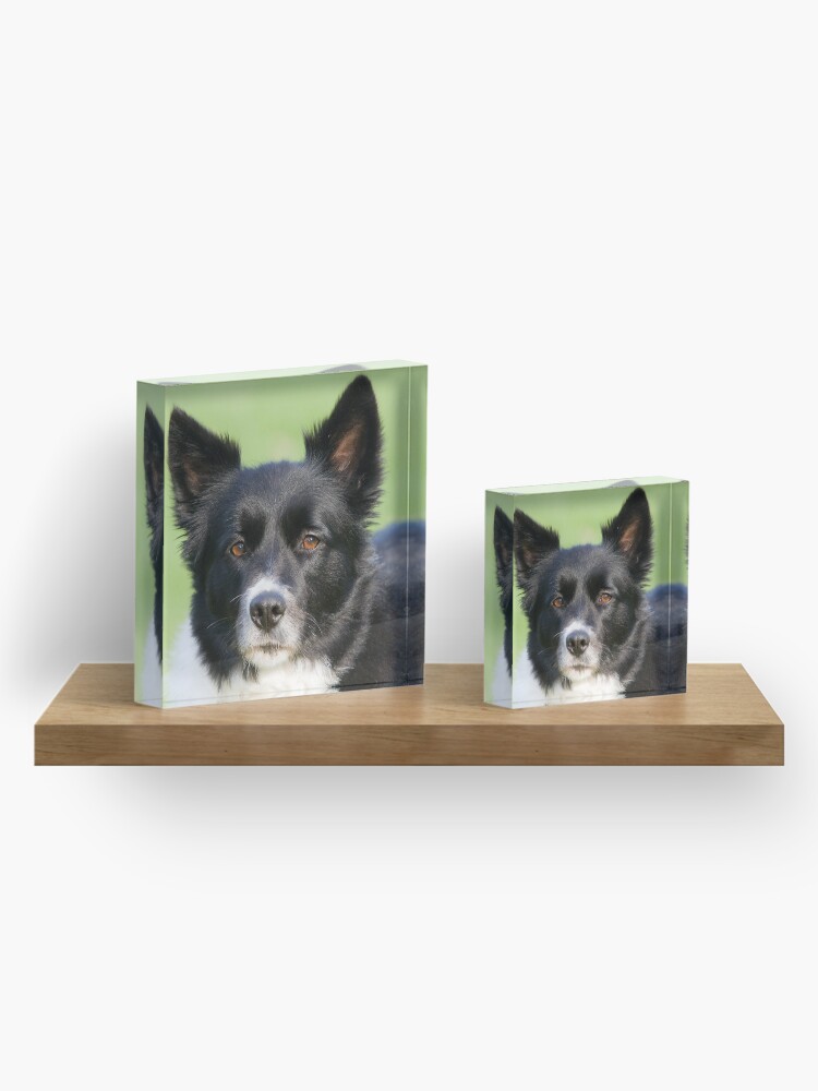 Alternate view of Portrait of Tammy Acrylic Block