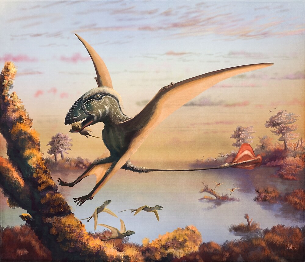 "Dimorphodon" by Mark Witton | Redbubble