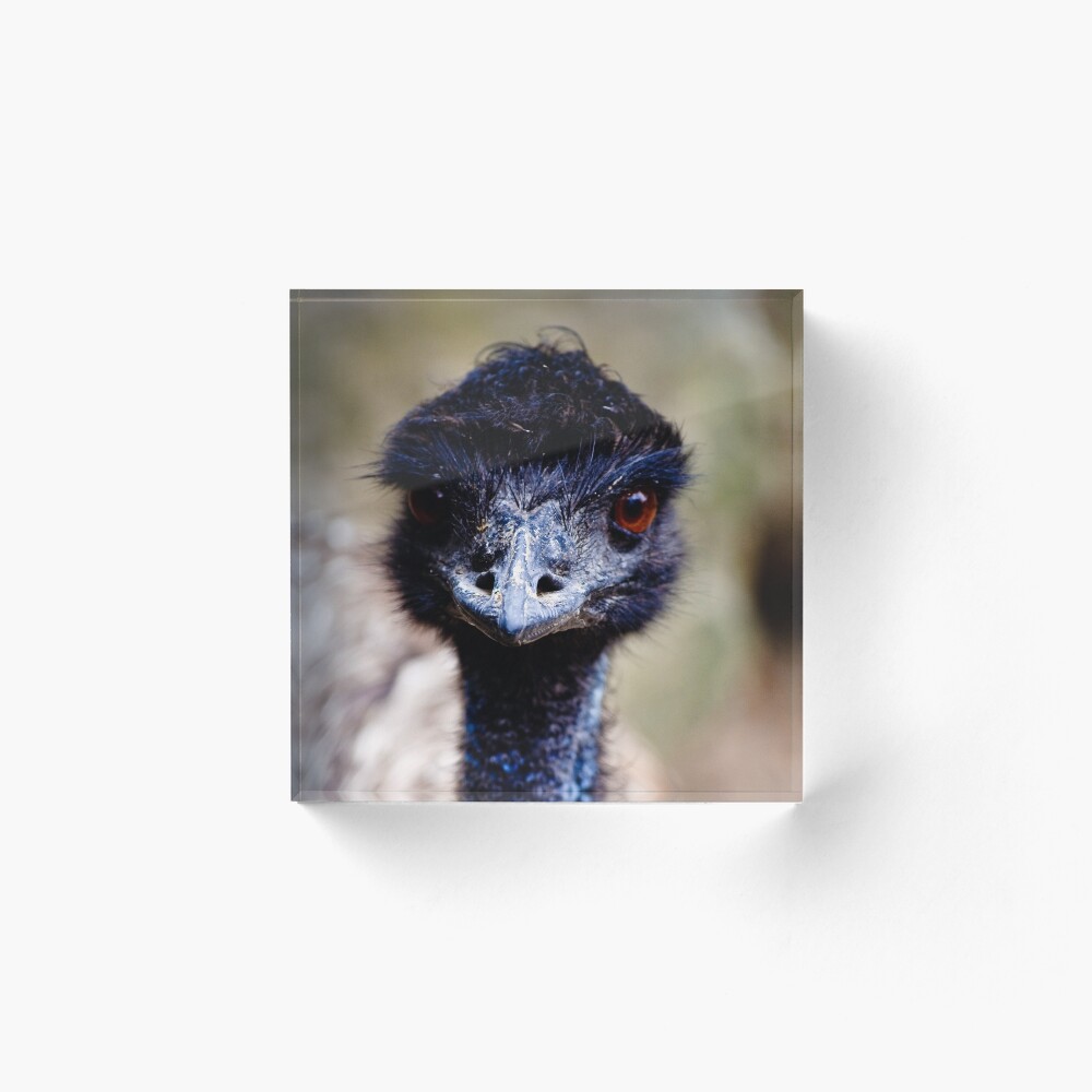 Emu Acrylic Block