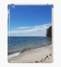 Peaceful iPad Case/Skin